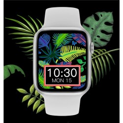 Išmanusis laikrodis IWO W66 DT100 Smartwatch 2021 SILVER